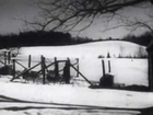 Champion sled dogs raised and trained in New Hampshire. (ca. 1940s)