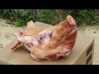Buckshot Hollowpoint Slugs Shotgun Meat Pig Head