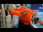 Live the life aquatic with the Seawolf remote control sub