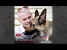2015 American Humane Association Hero Dog Awards™ - Service Dog Category – Axel