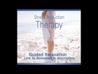Stress Reduction Therapy Guided Relaxation Meditation Alpha Waves Kelly Howell Brain Sync 2