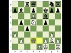 beauty-in-chess-mikhalevski-vs-bunzmann.3gp