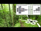 Quadcopter Navigation in the Forest using Deep Neural Networks
