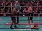 Mike Tyson vs Francois Botha - Final Punch