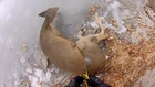 Hovercraft Drivers Rescue Trapped Deer On A Frozen Lake