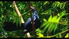 30 mins sri Lanka Birds singing, Birdsong
