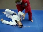 Japanese Jujutsu Technique Ude Garami