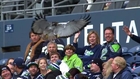 Seattle's live hawk mascot flew into stands and landed on a fan's head!