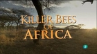 Las abejas asesinas de Africa Trailer