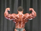 Roelly Winklaar 30H Extended Muscle Profile