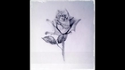 Learn How to draw a stemmed rose step by step