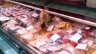 Cat binges on $1,000 of seafood