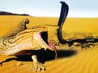 Animaux du désert - Reptiles et Cobras
