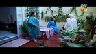 Sartaj Mera Tu Raj Mera Episode 23 Fullon HUM TV