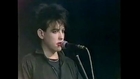 THE CURE with Steven Severin – SIAMESE TWINS rare (Riverside music show, BBC2, 02 July 1983)