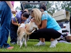 Dogs Rescued from Augusta Animal Services